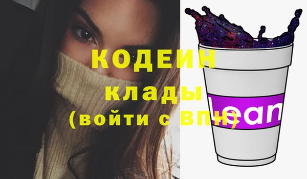 apvp Бородино