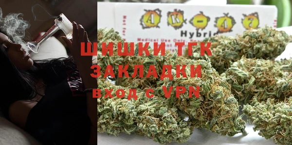 apvp Бородино