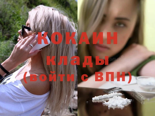 apvp Бородино
