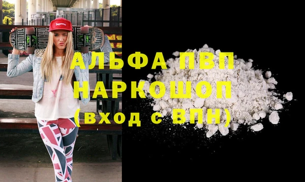 apvp Бородино