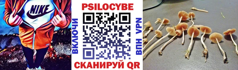 Галлюциногенные грибы Cubensis Липки